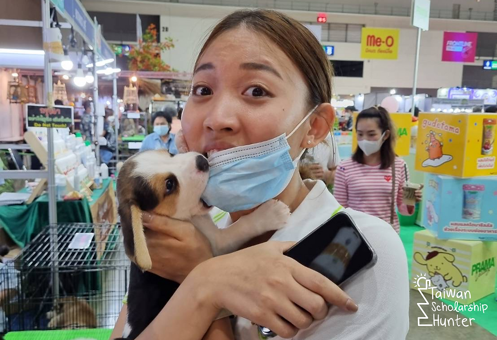 ประสบการณ์ทำงาน Sales เรียนต่อต่างประเทศ