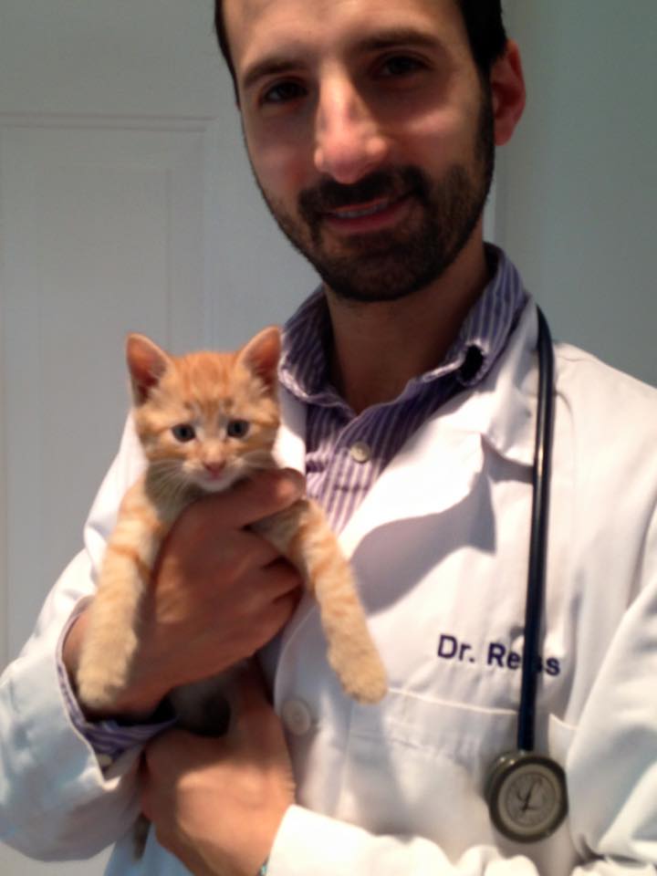 Reiss Mobile Vet Home