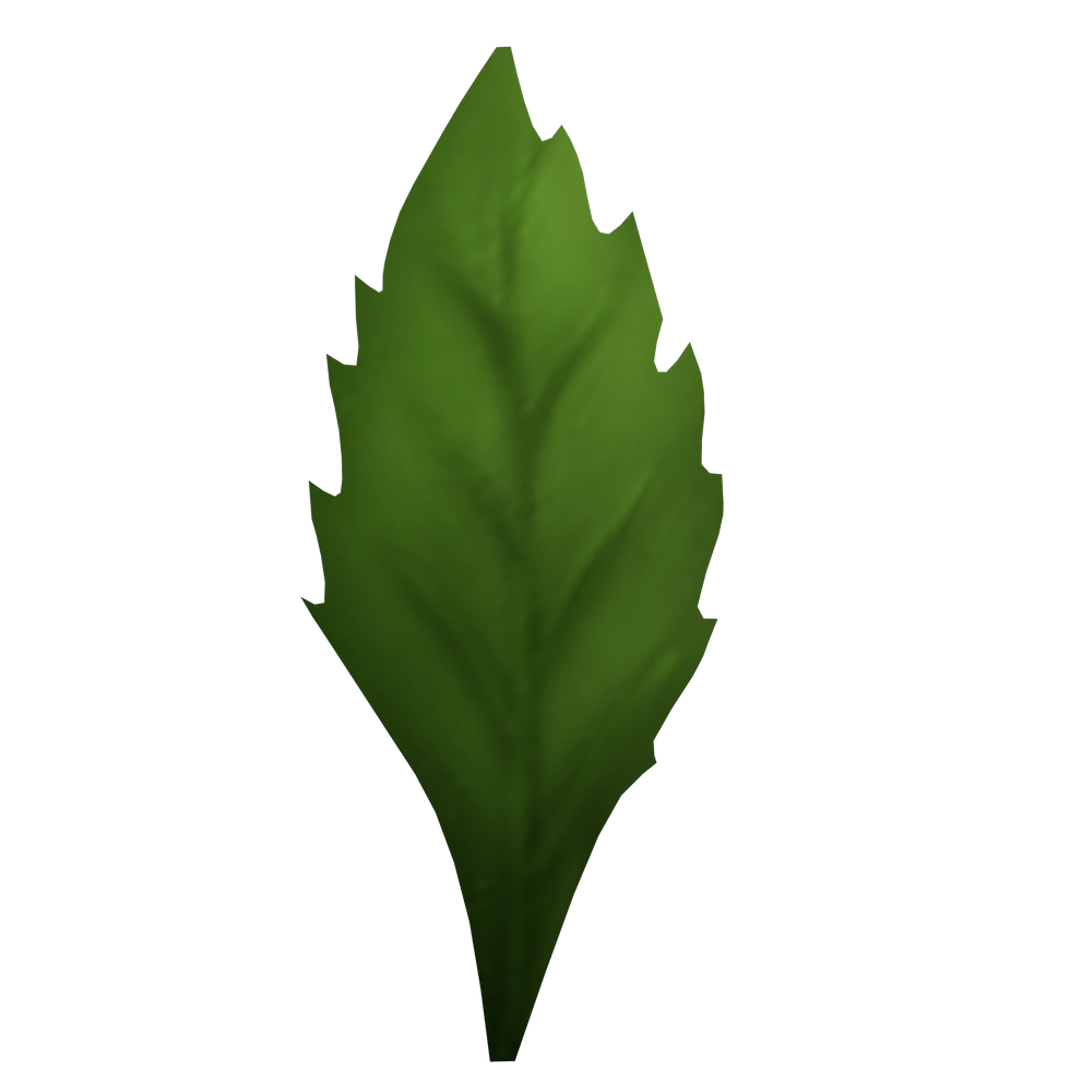 DSF1(29)