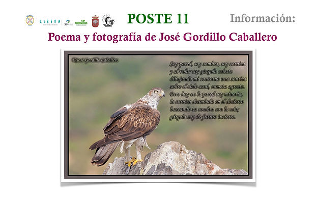 POSTE 11_page-0002.jpg