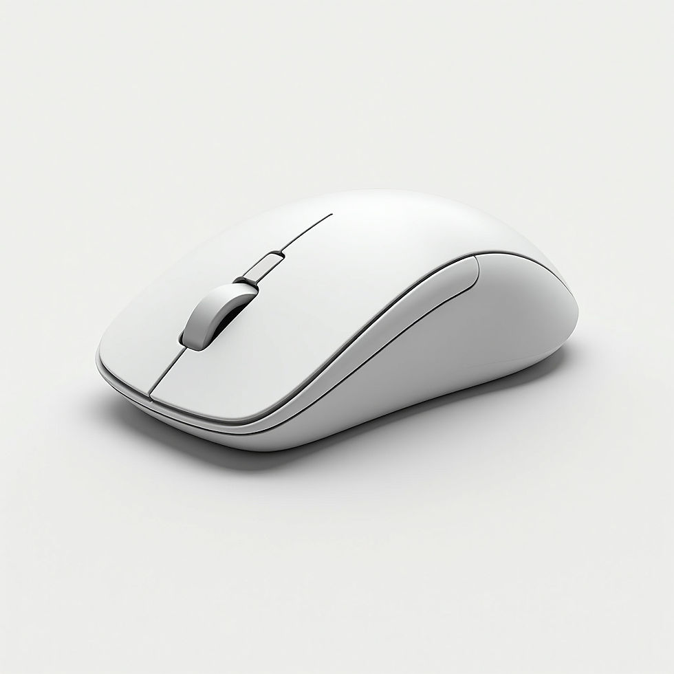 Raton Inalámbrico Ergonómico