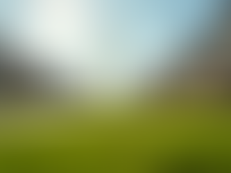 Discover Emerging Real Estate Market Trends