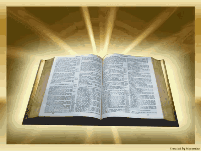 image0000001.gif
