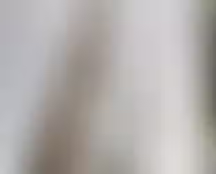 Why Gutter Cleaning and Gutter Mesh Matter for Werribee Homes