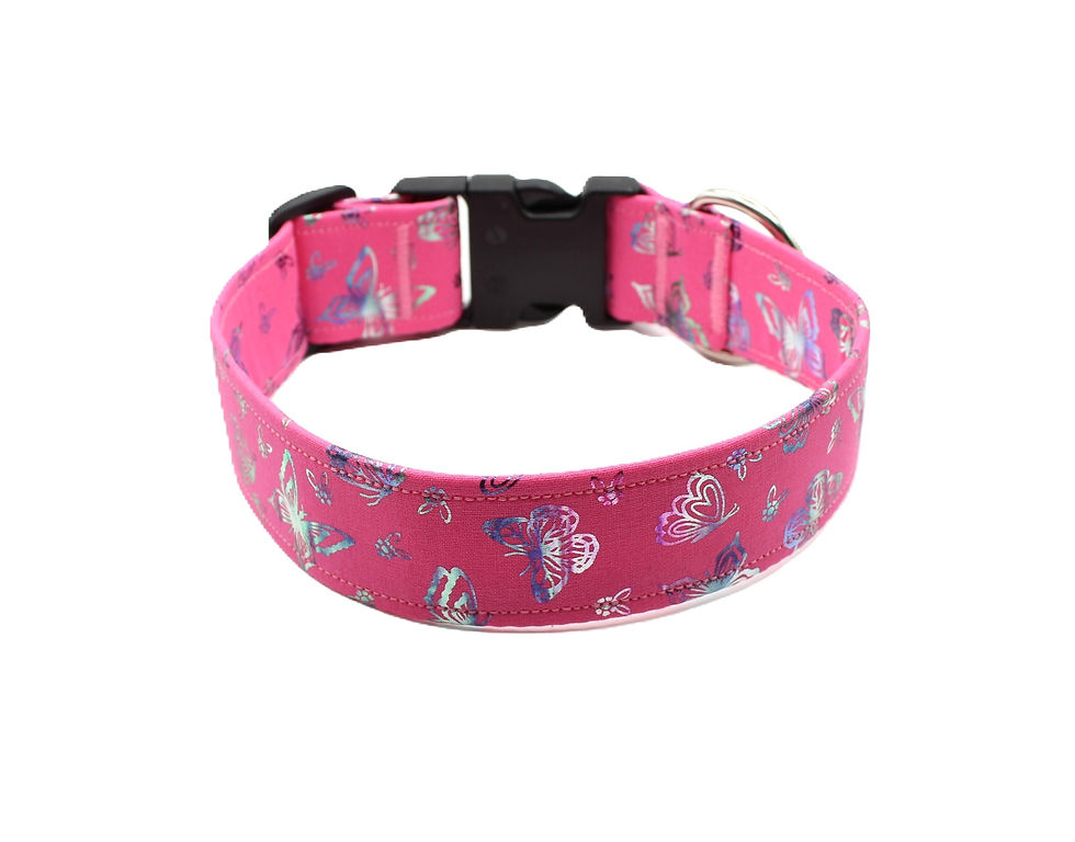 Spring Pink Butterfly Dog Collar Front View