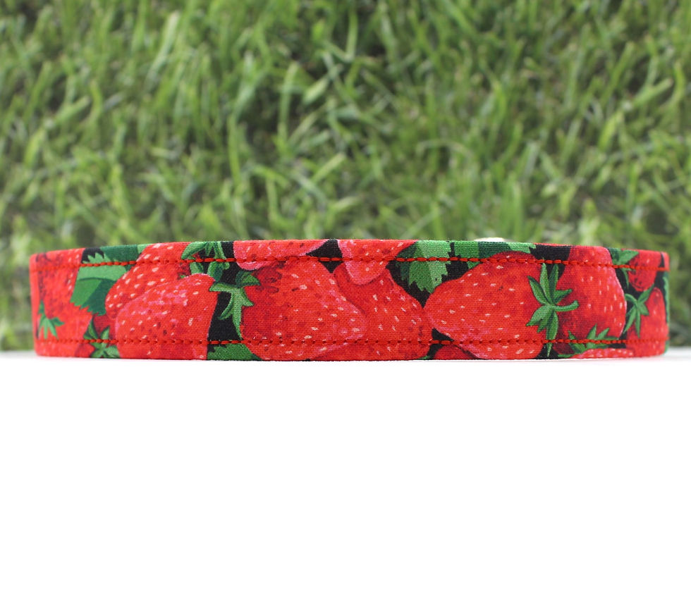 Thumbnail: Strawberries Dog Collar Front View