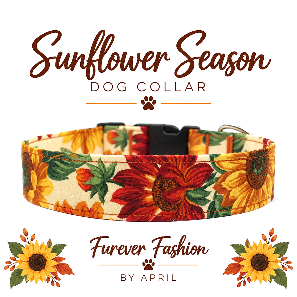 Thumbnail: Fall Sunflower Dog Collar Front View