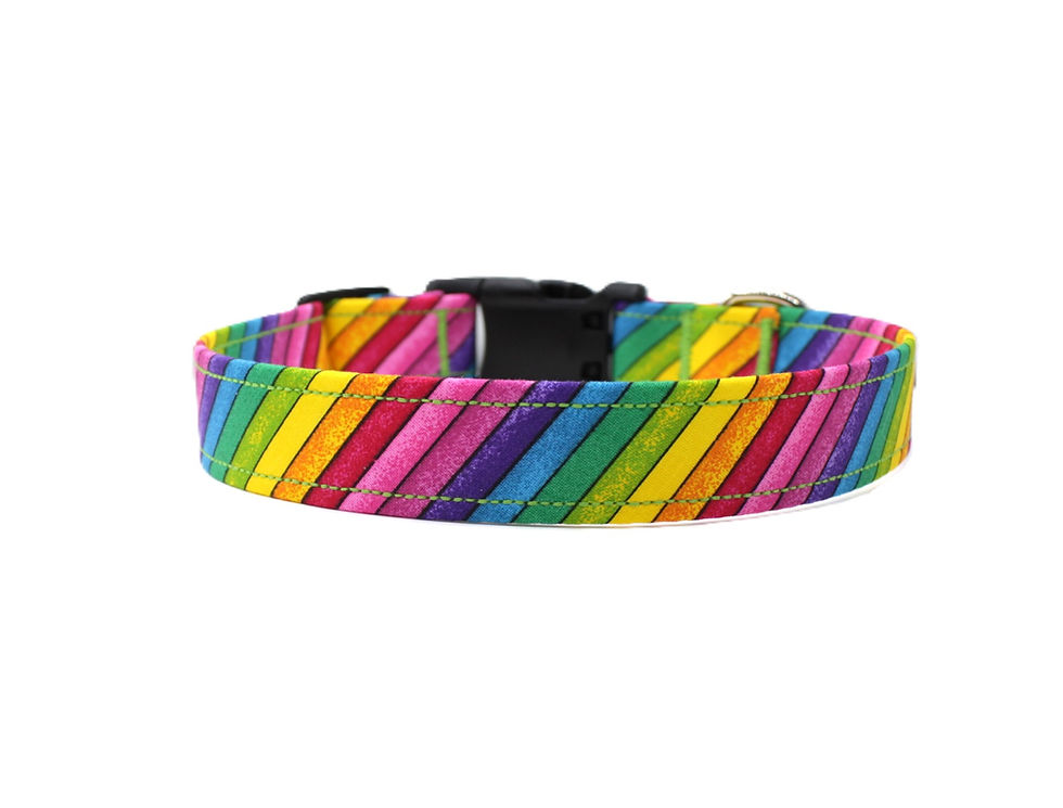 Rainbow Stripes Dog Collar