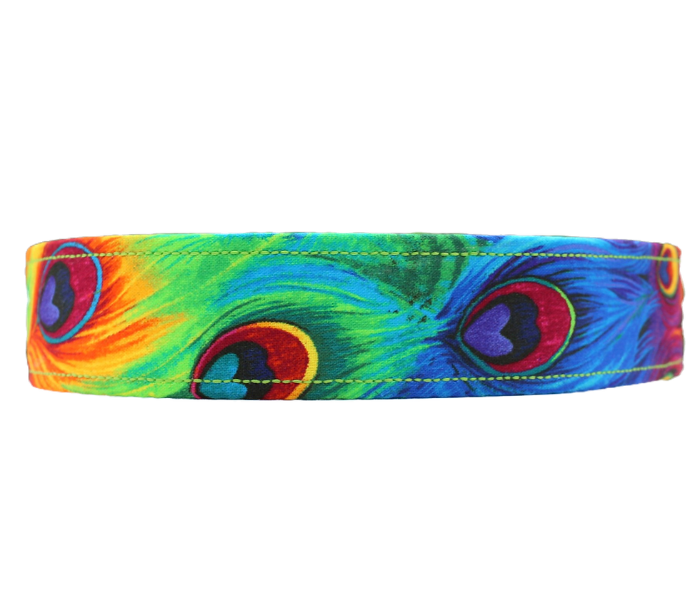 Thumbnail: Peacock Dog Collar
