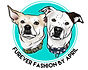 West Bend Wisconsin dog collars