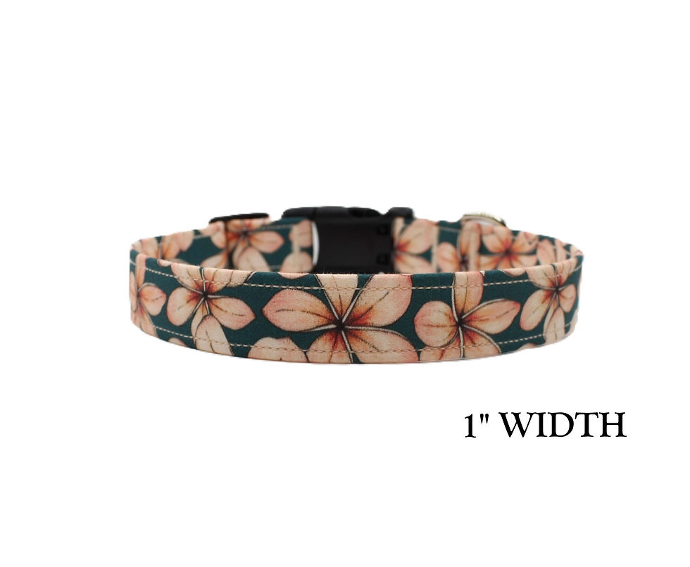 Thumbnail: Plumeria Dog Collar Front View