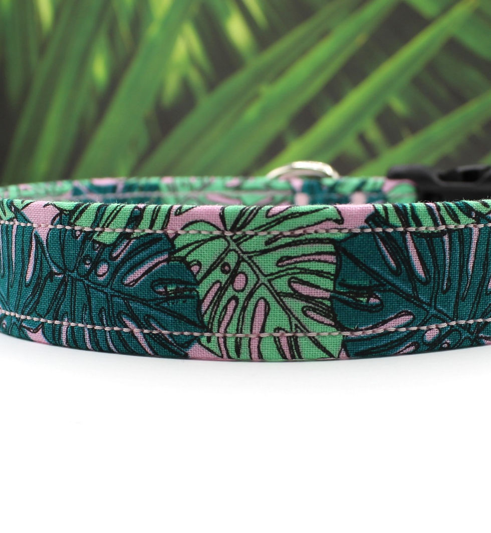 Thumbnail: Monstera Dog Collar