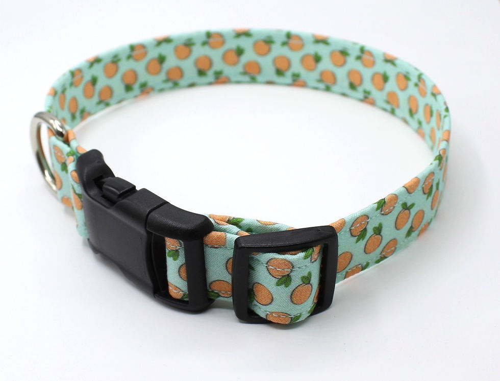Peaches dog collar hardware view
