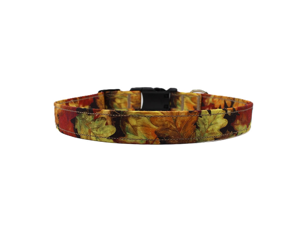 Thumbnail: Fall Leaves Dog Collar Front View