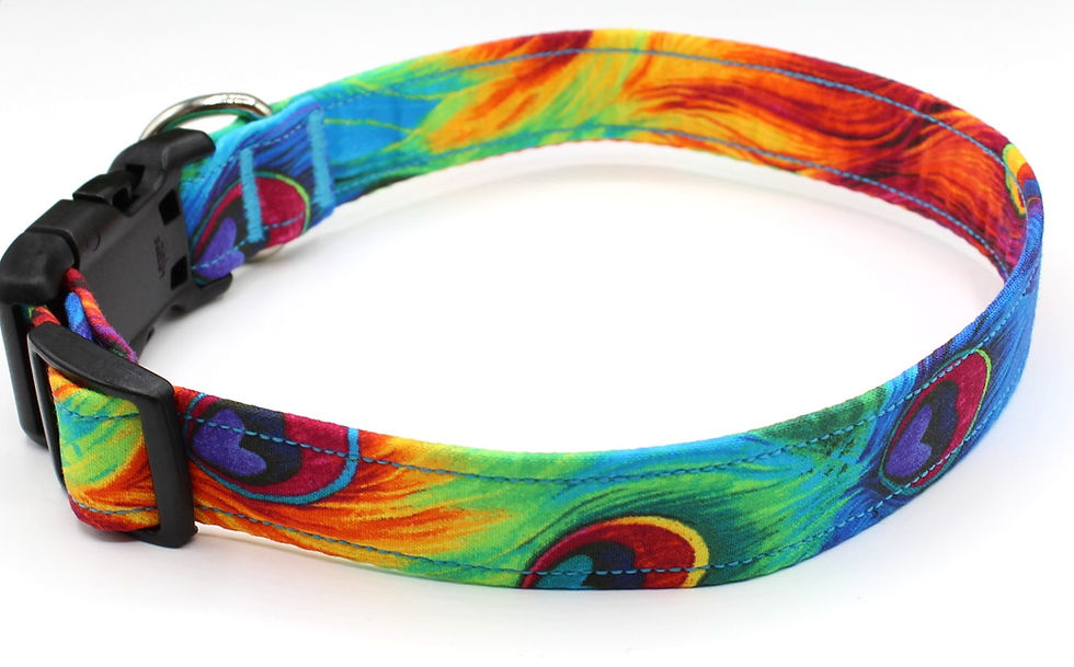 Thumbnail: Peacock Dog Collar