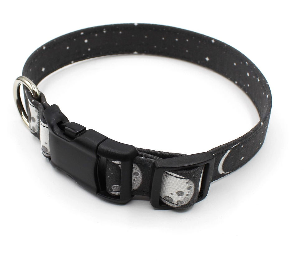 Thumbnail: Moon Phases Dog Collar Hardware View