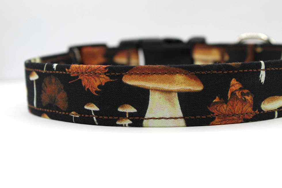Thumbnail: Mushroom Dog Collar Close Up