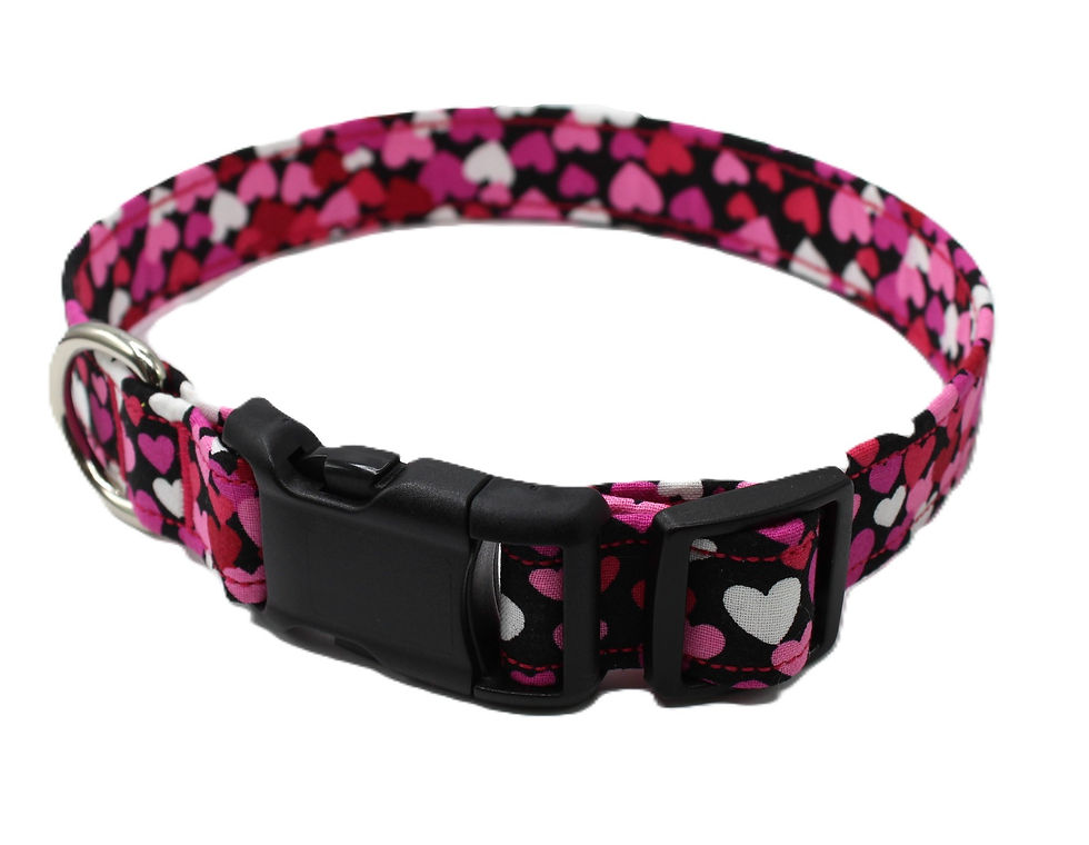 Hearts Valentines Day Dog Collar Hardware view