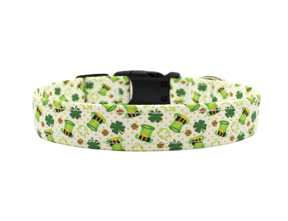 St. Patrick's Day Dog Collar Front View