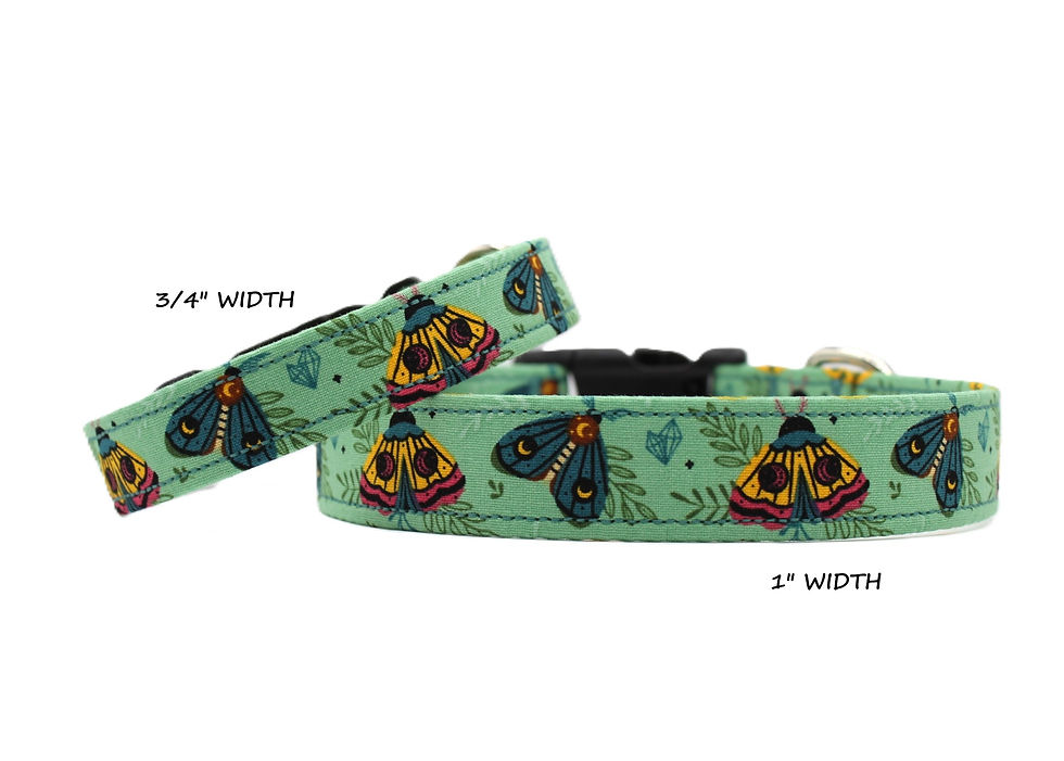 Thumbnail: Moth Dog Collar Width Options