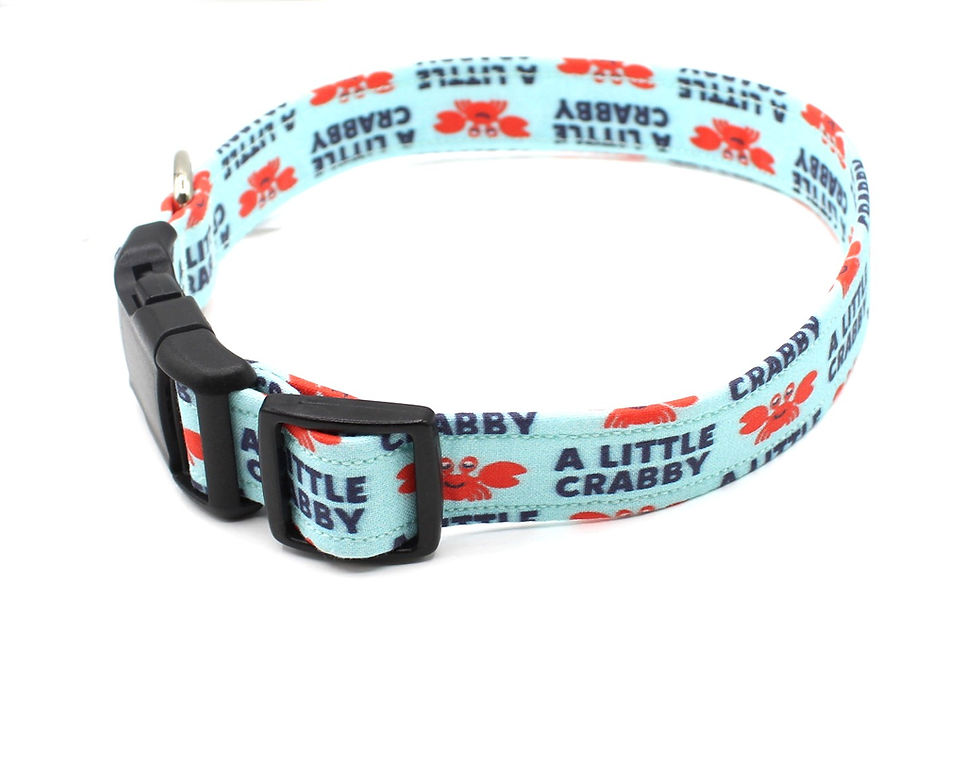 Thumbnail: A Little Crabby Dog Collar Plastic Triglide View