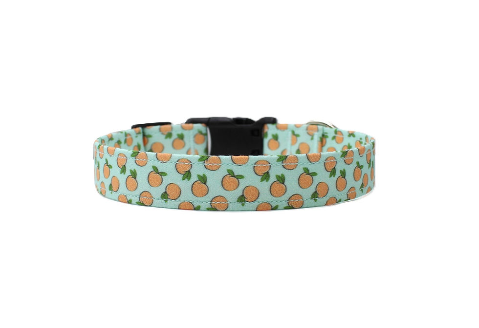 Peaches Dog Collar front view