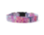 Coral Reef Dog Collar