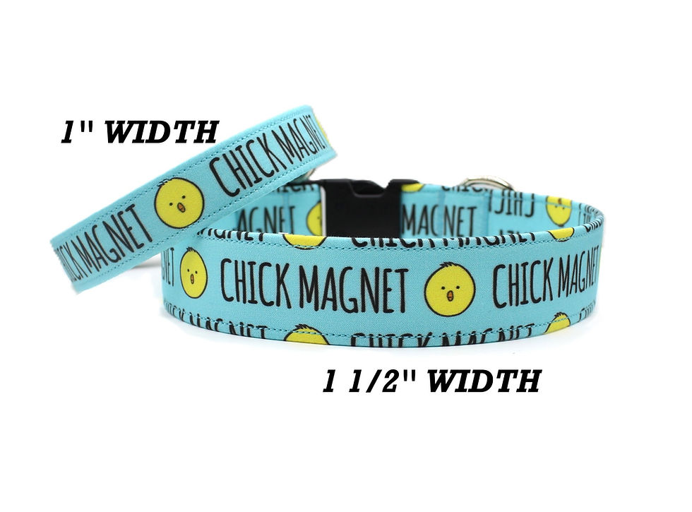Thumbnail: Chick Magnet Dog Collar Widths