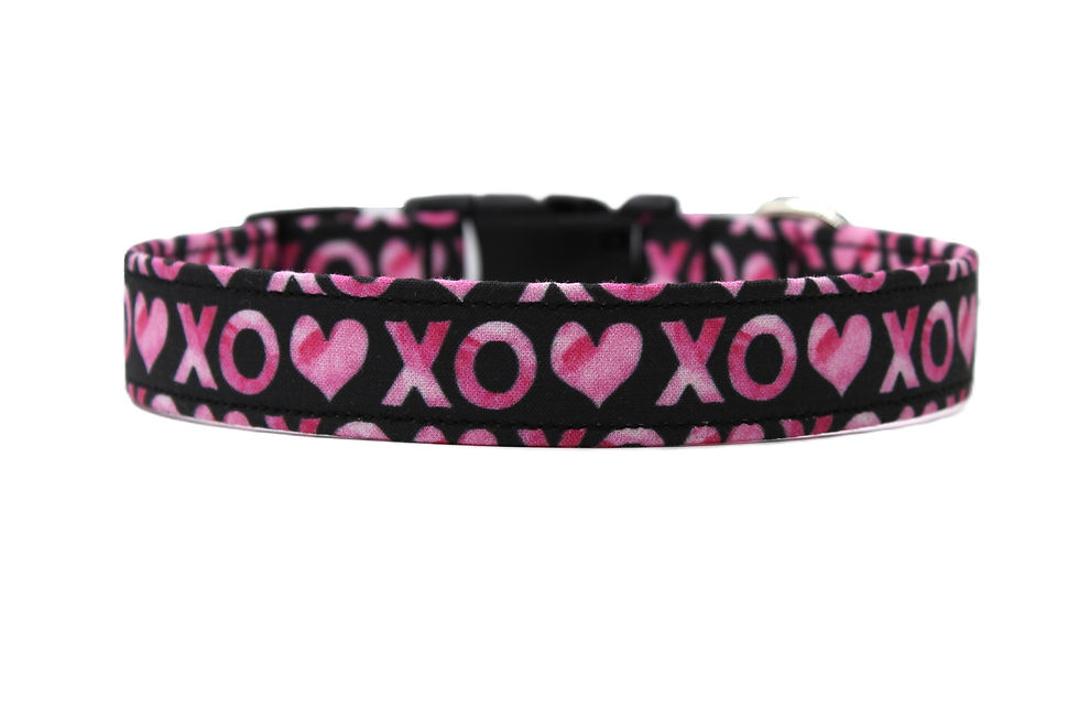 Thumbnail: Valentine's Day XO Dog Collar close up