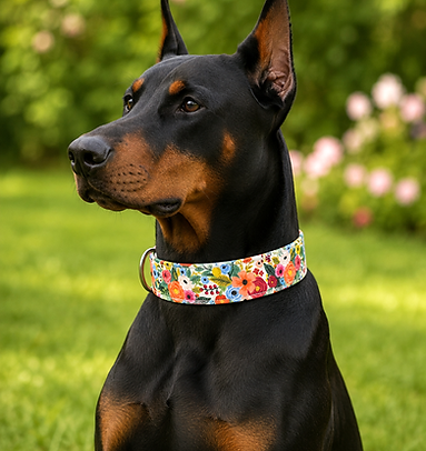 DOBERMAN WHIMSICAL FLORAL COLLAR.png