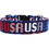Thumbnail: USA Patriotic Dog Collar Front View