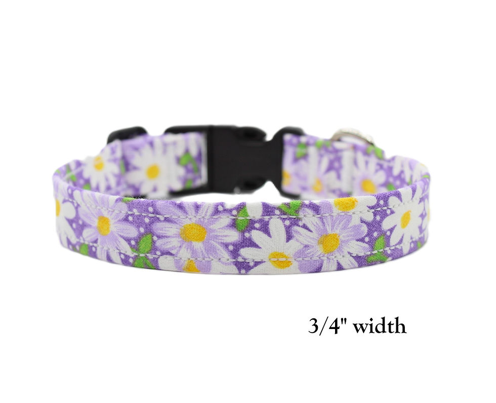 Thumbnail: Daisy Dog Collar front view