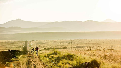 WhatsApp Image 2025-09-17 at 15.24.47 (1).jpeg