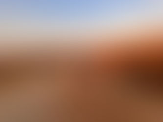 Freedom Challenge Daily Report | 17 June 2024