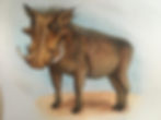 Warthog