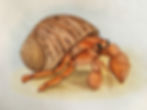 crab