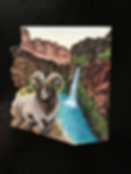 Big horn sheep magnet