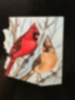 Cardinals magnet