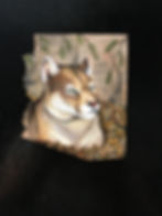Puma magnet