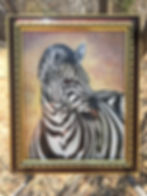 Zebra
