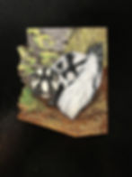 Spotted skunk magnet