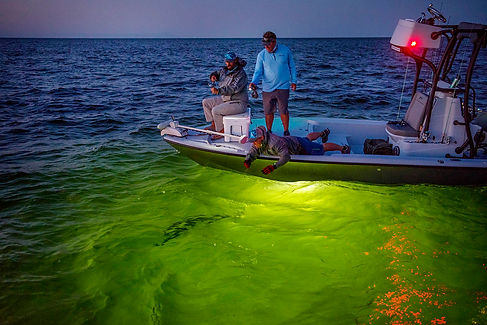 St Croix セントクロイ ソルトフィッシング 海釣り キャスティング シー