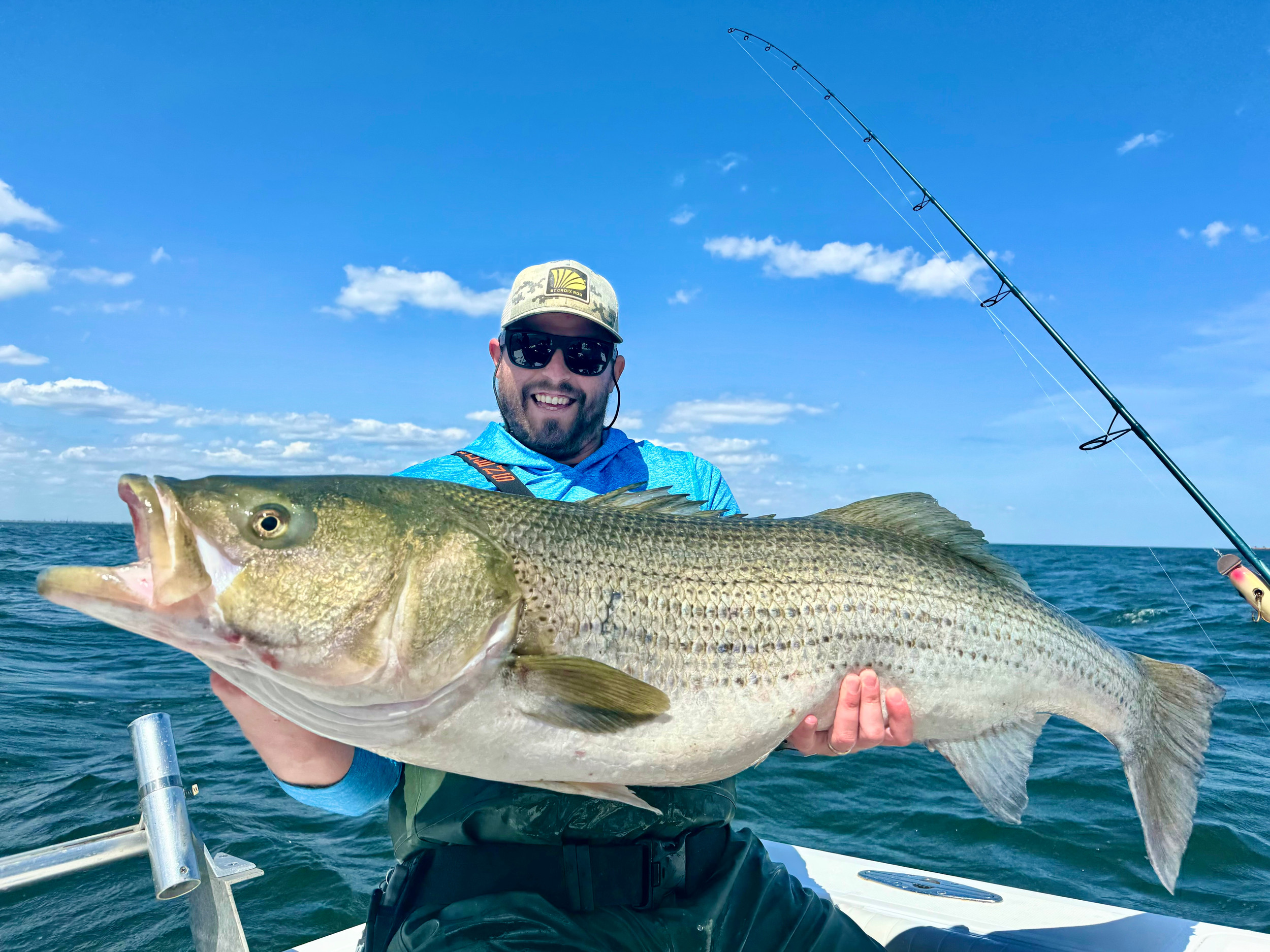 FROGウォブンロールSJGC66ML+M セントクロイ ジャパン ウォブンロール 【セントクロイ