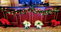 Artificial at business location