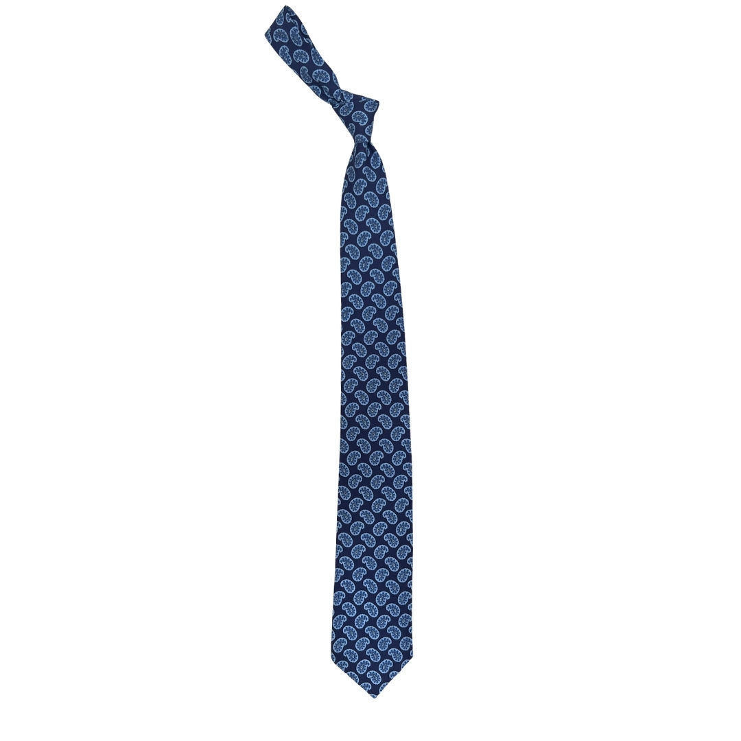 Palma Paisley Tie in Navy