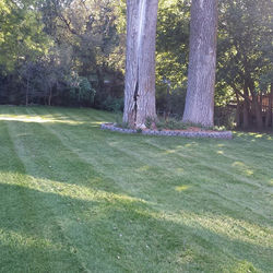 10562950_300268923498809_3061616202291986722_n