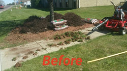 13010694_492535004272199_6635013140830931414_n