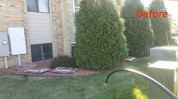 13012833_492535057605527_2483634237038722518_n