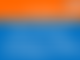 アニュアル・カンファレンス2020 講演資料