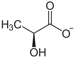 ree